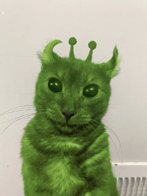 Зелёный кот-инопланетянин