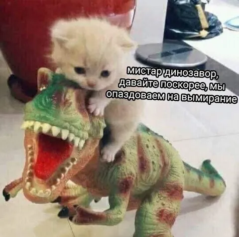 Котёнок спешит на вымирание