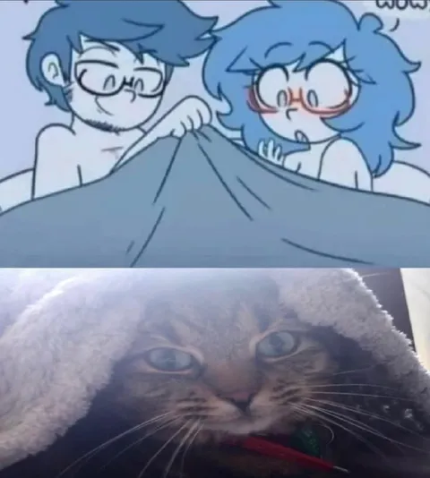 Cat Wrapped Like a Blanket