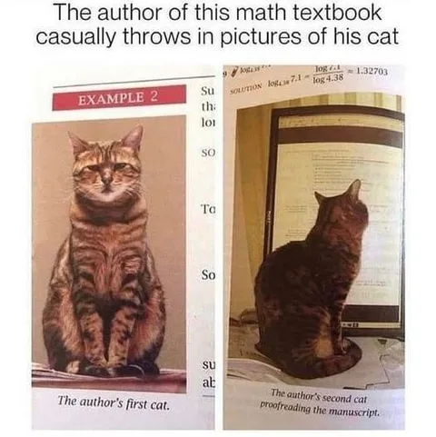 Math Textbook Cat Pictures
