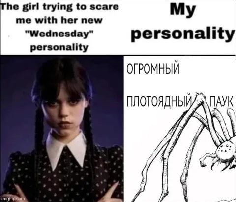 Wednesday Personality vs Giant Spider