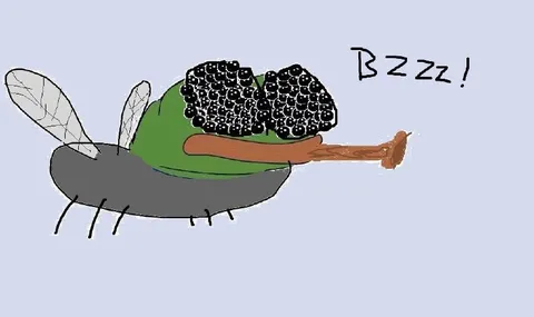 Sleepy Fly Goes Bzz
