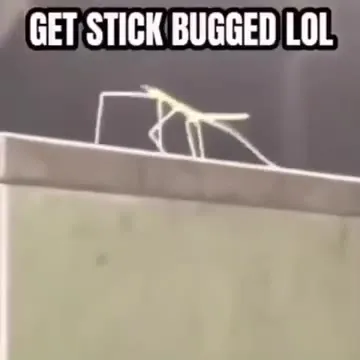 Get Stick Rolled LOL