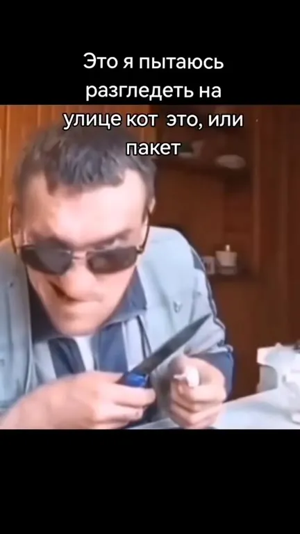 Кот это или пакет