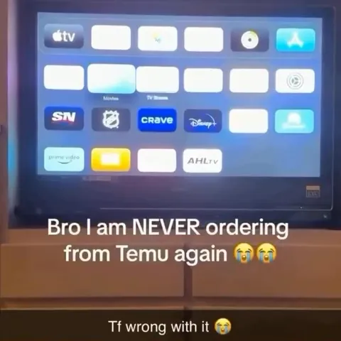 Never Ordering From Temu Again