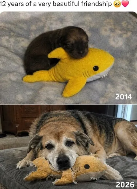 12 Years of Beautiful Friendship