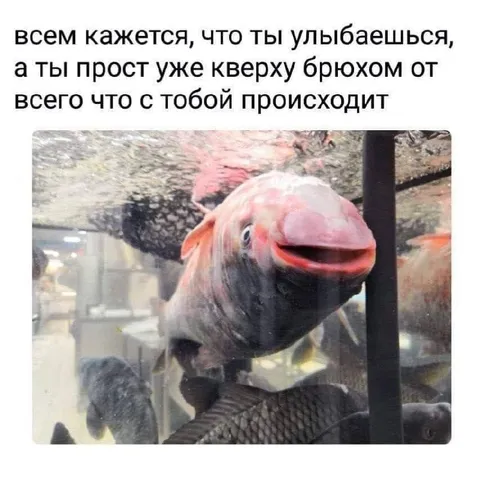 Рыба улыбается от отчаяния