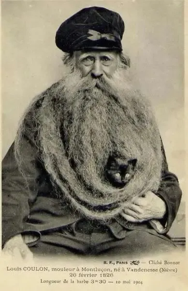 Le chat dans la barbe géante