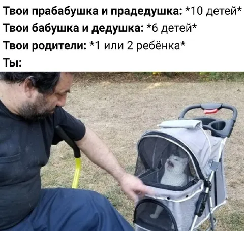 Когда вместо детей заводят кота