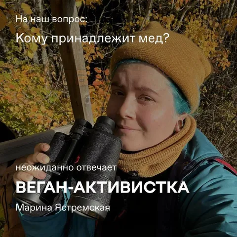 Кому принадлежит мёд