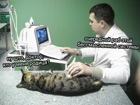 Очередной раб системой