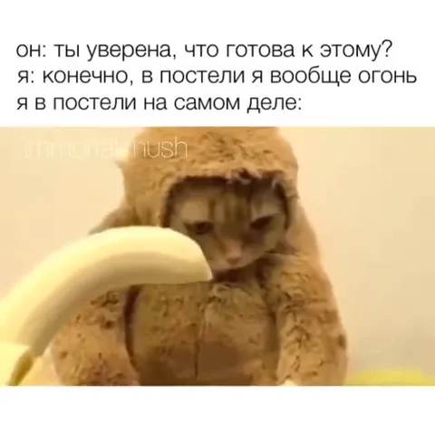 Кот в постели вообще огонь