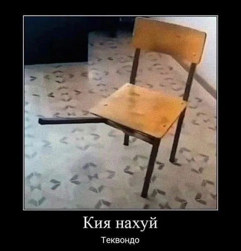 Стул занимается тхэквондо