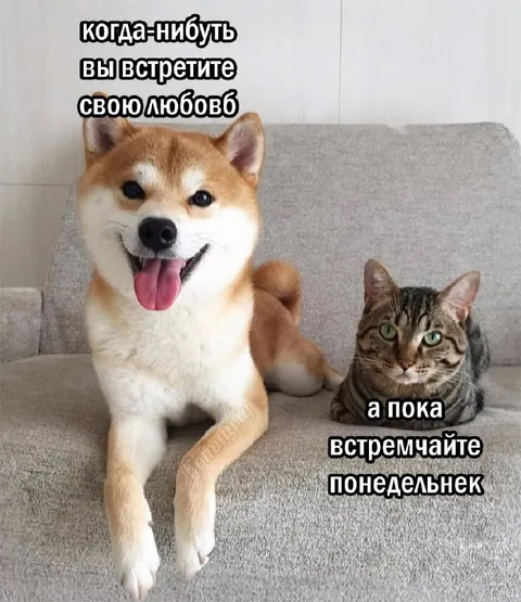 Когда встретишь свою любовь