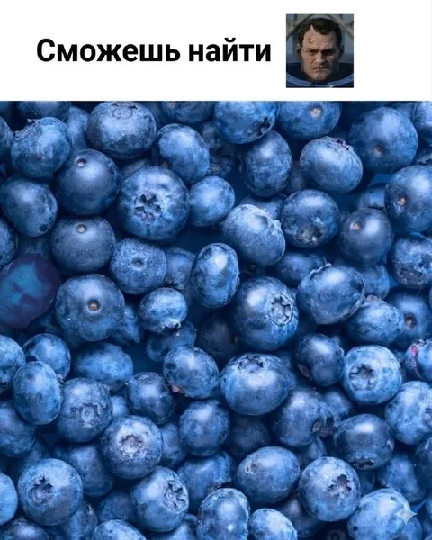 Сможешь найти спрятанное