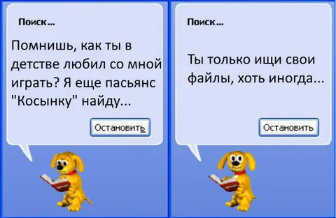 Собака ищет файлы