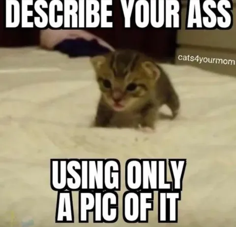 Describe Your Ass With A Cat