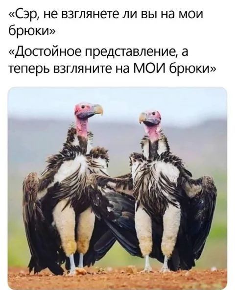 Взгляните на мои брюки