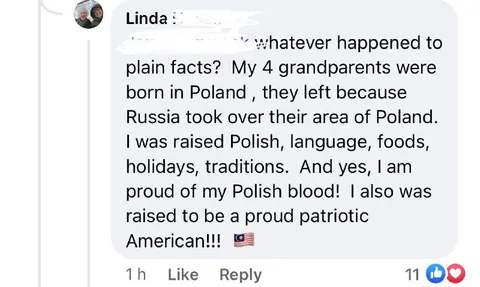 Proud Polish American