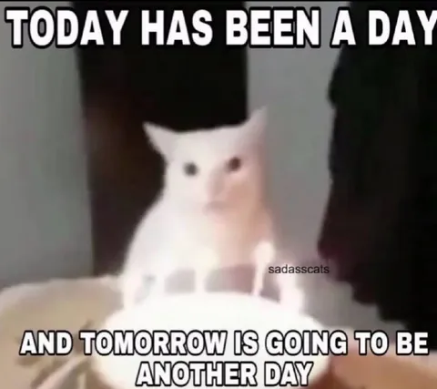 Today Has Been a Day