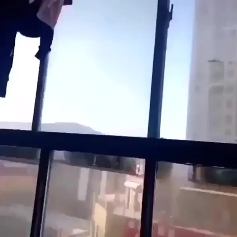 Ворона нашла деньги