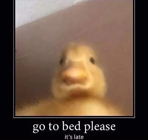 Go to Bed Please Duck