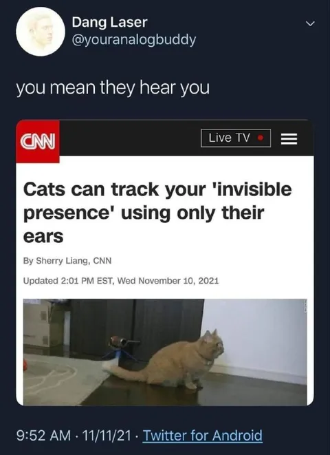 Cats Hear Invisible People