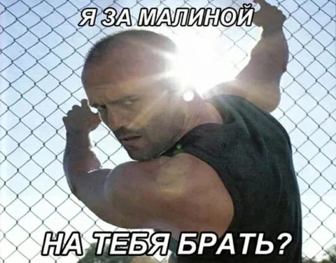 Я за малиной на тебя, брат?