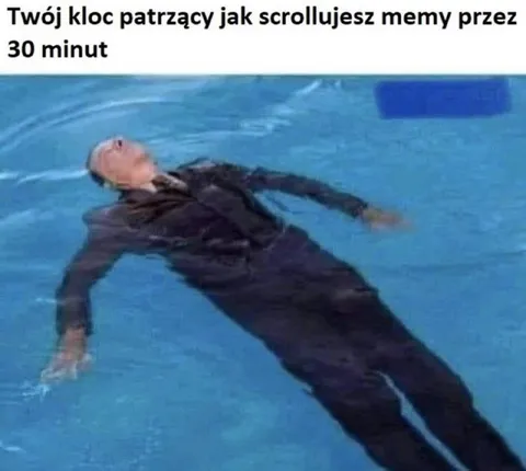 Kloc patrzący na memy