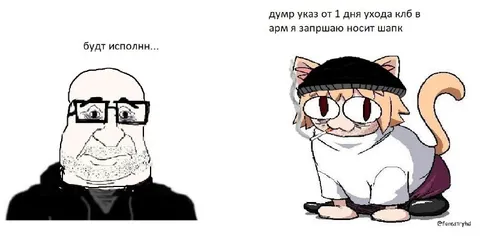 Кот в шапке по указу