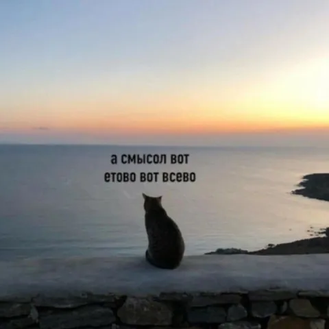 А смысл вот этого всего