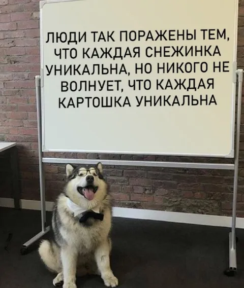 Каждая картошка уникальна