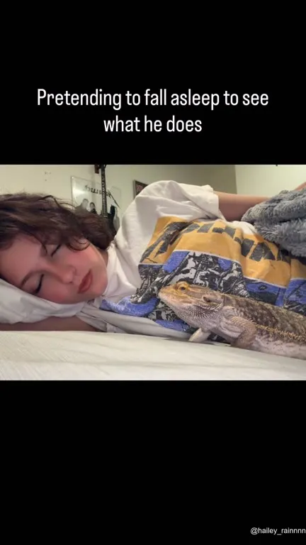 Pretending to Sleep With a Lizard