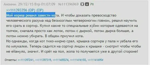 Кот боится крышки унитаза