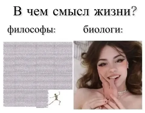 В чем смысл жизни: философы и биологи