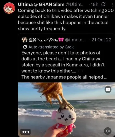 Chiikawa Stolen by Seagull