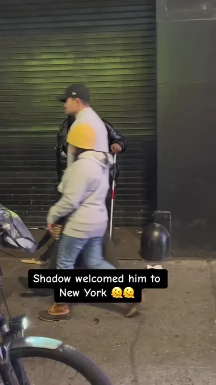 Shadow Welcomed Him to New York