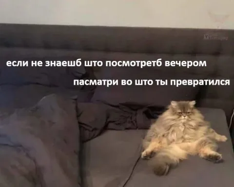 Посмотри, во что ты превратился