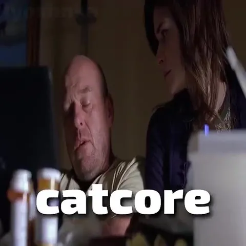 Watching Catcore Videos