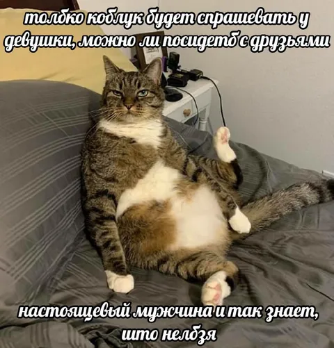 Настоящий мужчина знает, что нельзя