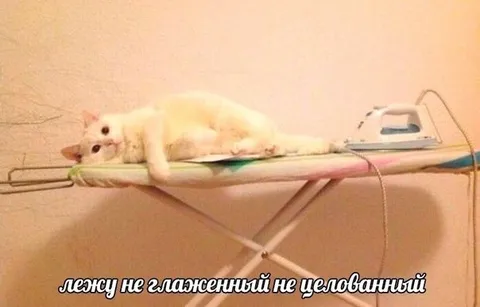 Лежу неглаженный и нецелованный
