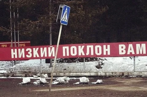 Низкий поклон вам