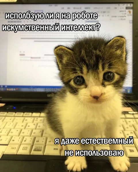Котёнок не использует интеллект