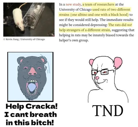 Rats Only Help Their Own Kind