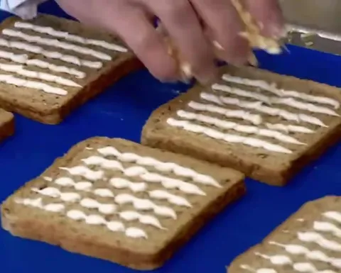 Industrial Bread Production Montage