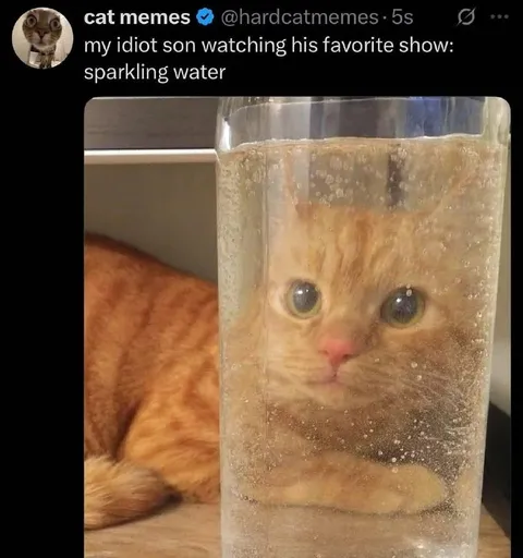 Cat Watching Sparkling Water