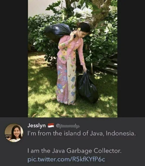 Java Garbage Collector
