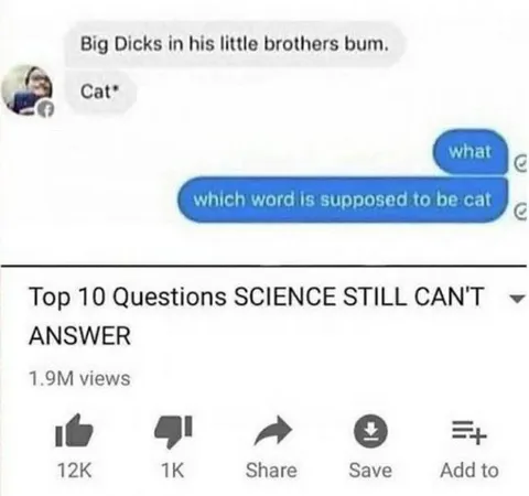 Which Word Is Cat