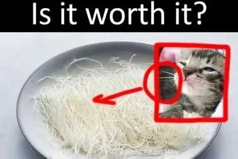 Is It Worth It Kitten