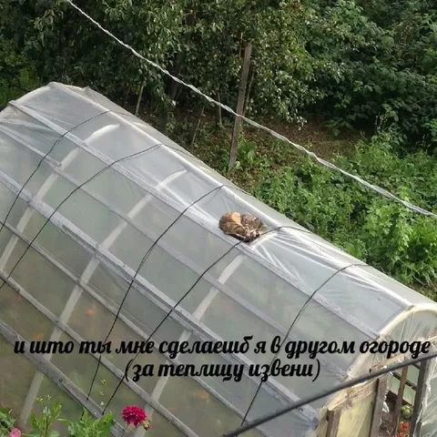 Я в другом городе